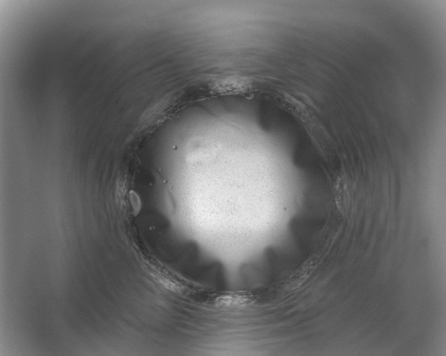 X0000064720714200602241639