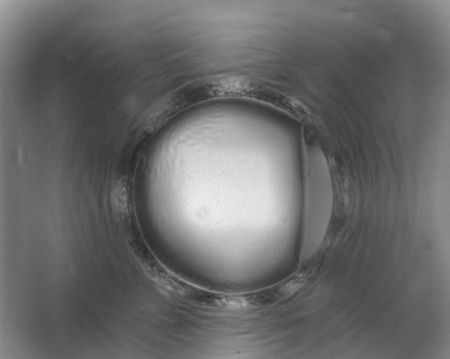 X0000064720715200602241639