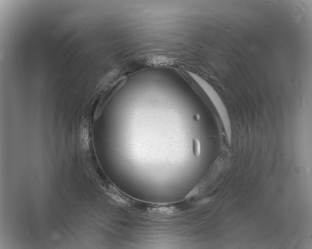 X0000064720716200602241639