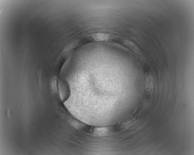 X0000064720717200602241639