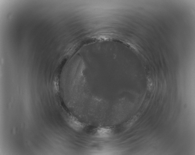 X0000064720718200602241639