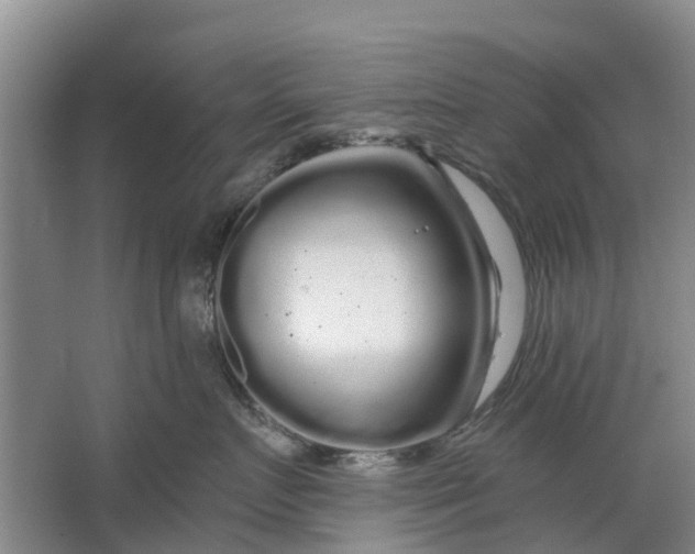 X0000064720719200602241639