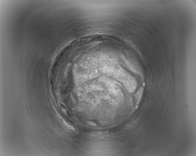 X0000064720721200602241638