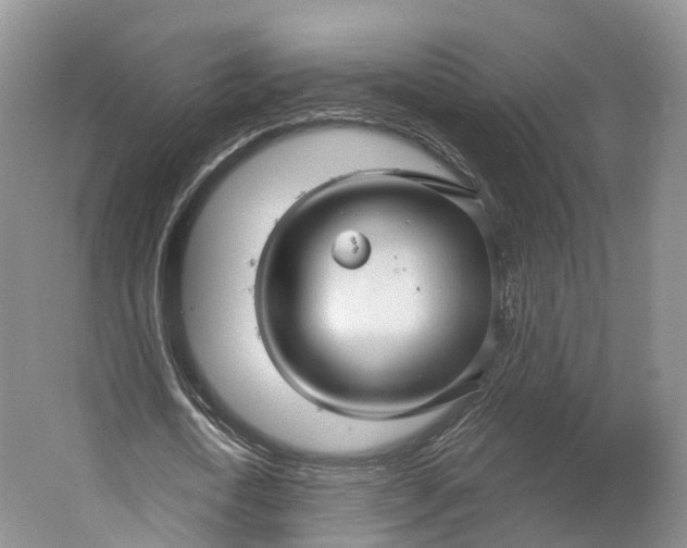 X0000064720722200602241638