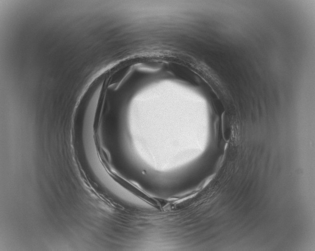 X0000064720724200602241638