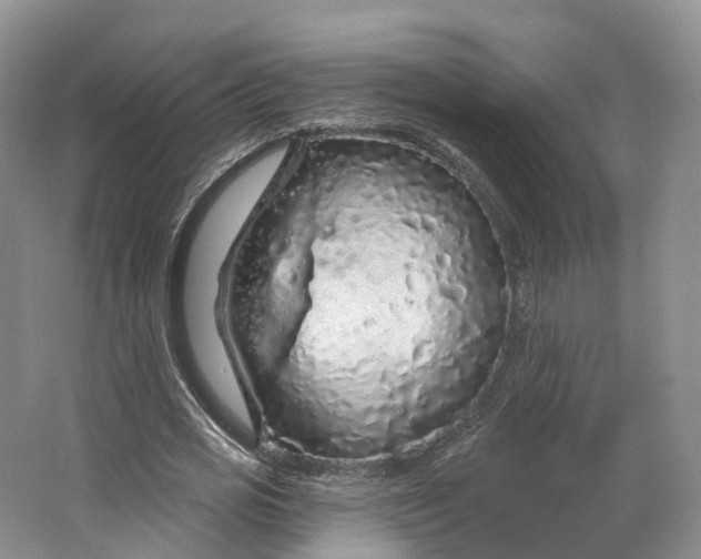 X0000064720725200602241638