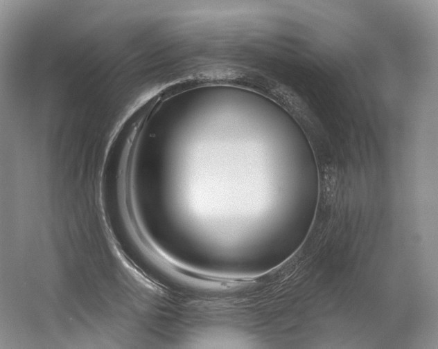 X0000064720726200602241638