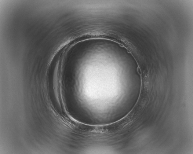 X0000064720727200602241638