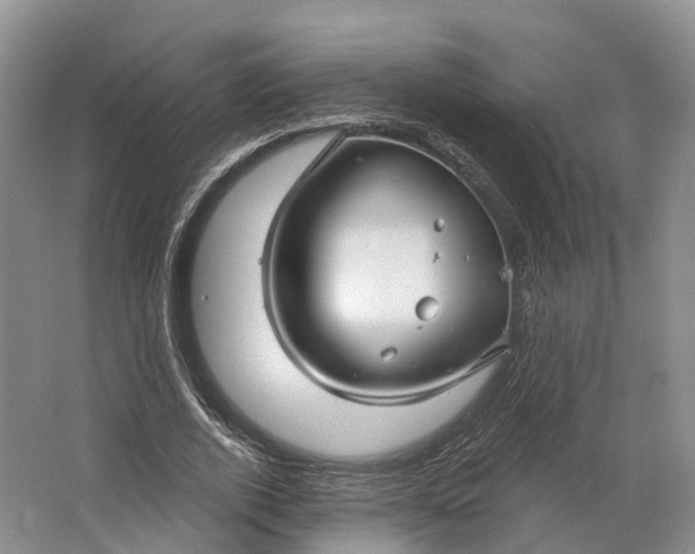 X0000064720728200602241638