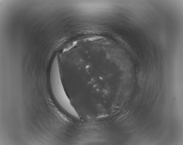 X0000064720729200602241638