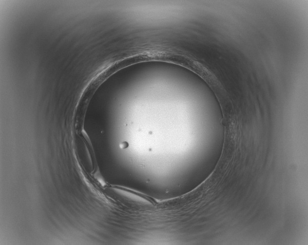 X0000064720730200602241638