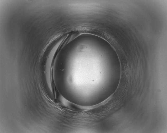 X0000064720731200602241638