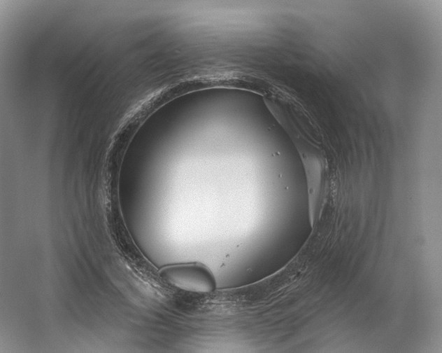 X0000064720732200602241638