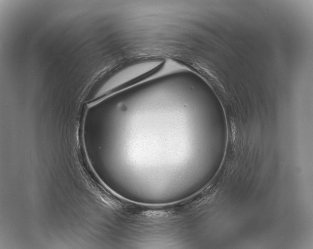 X0000064720733200602241638