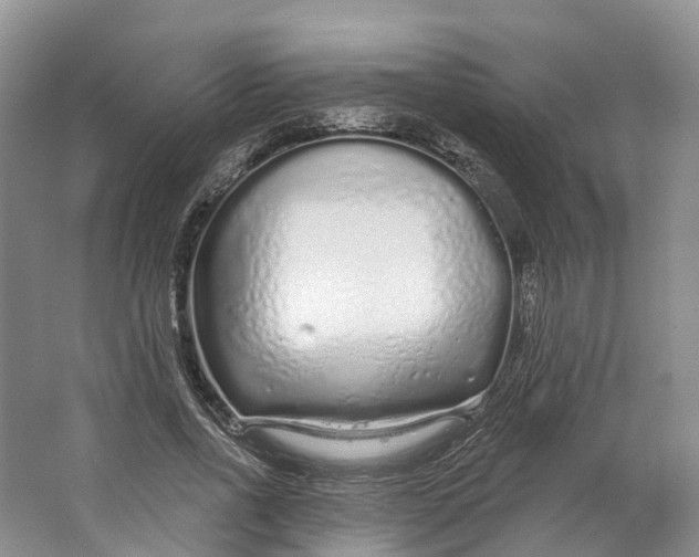 X0000064720734200602241638