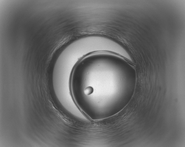 X0000064720735200602241638