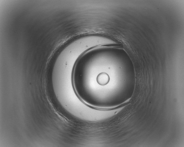 X0000064720736200602241638