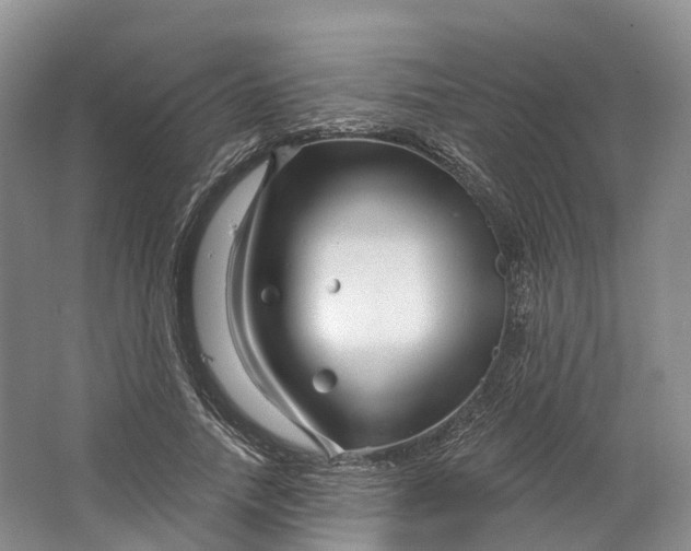 X0000064720738200602241638