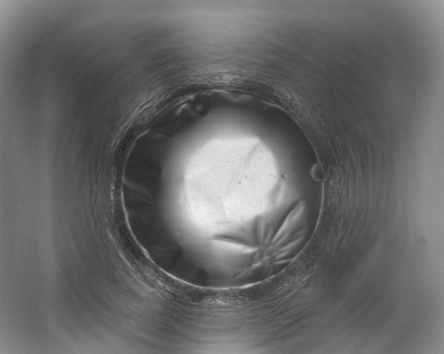 X0000064720739200602241638