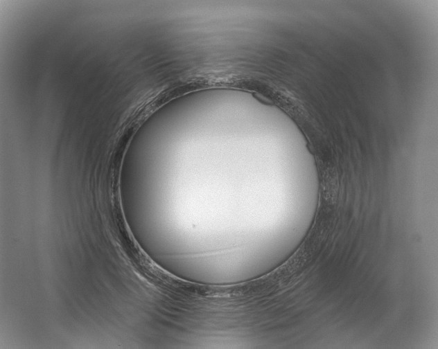 X0000064720740200602241638