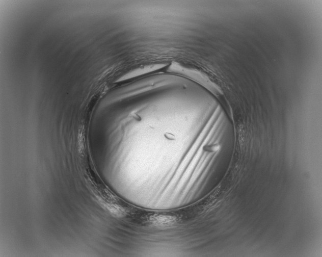 X0000064720741200602241638