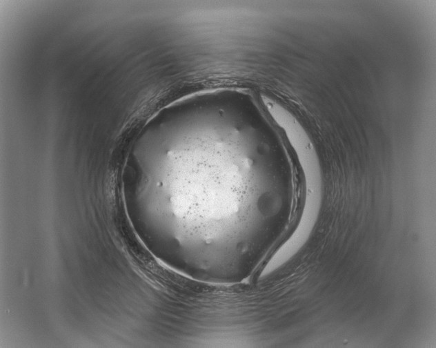 X0000064720742200602241638