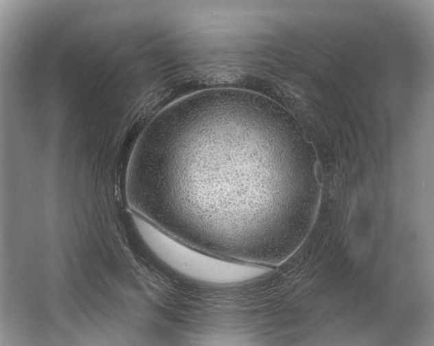 X0000064720743200602241639