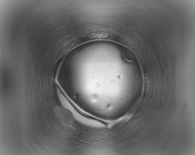 X0000064720745200602241639