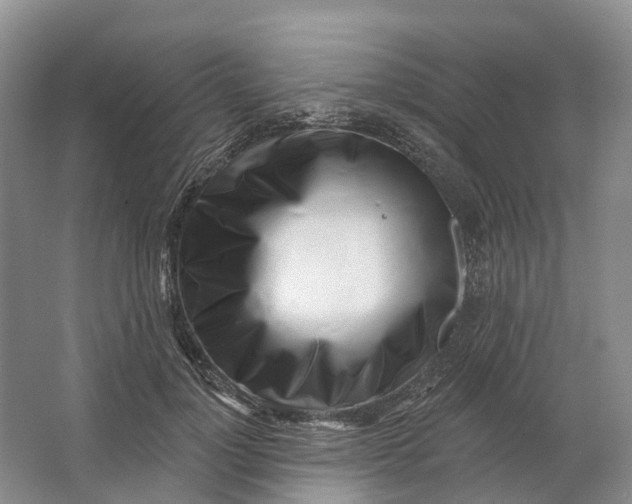 X0000064720748200602241639