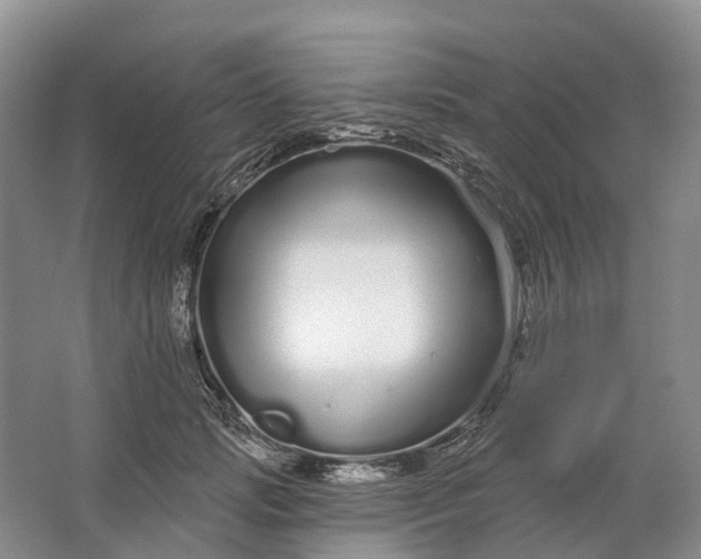 X0000064720749200602241639