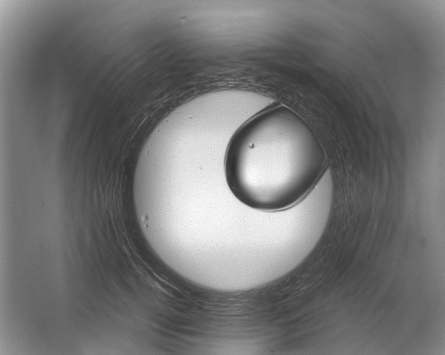 X0000064720752200602241639