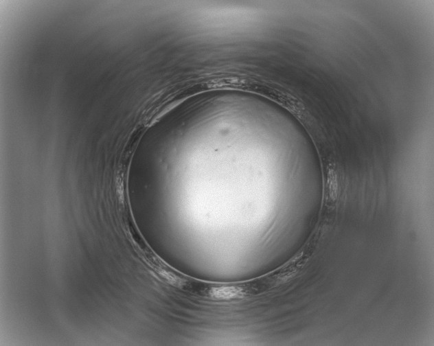 X0000064720753200602241639