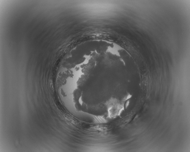 X0000064720754200602241639