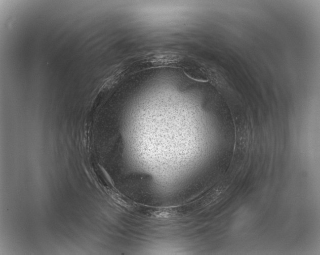 X0000064720755200602241639