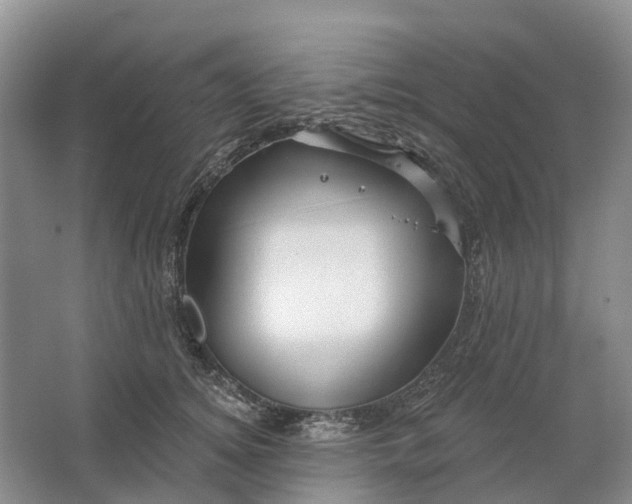 X0000064720756200602241639