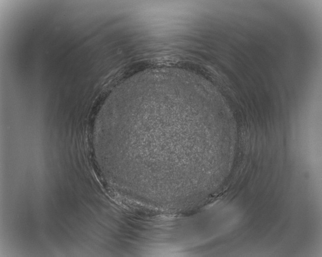 X0000064720757200602241639