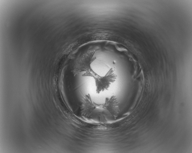 X0000064720759200602241639