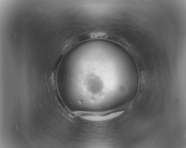 X0000064720761200602241639