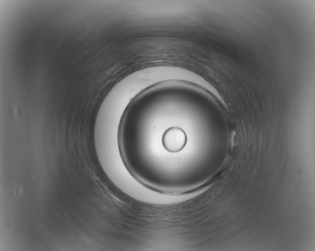 X0000064720764200602241639