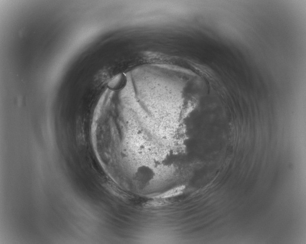 X0000064720765200602241639