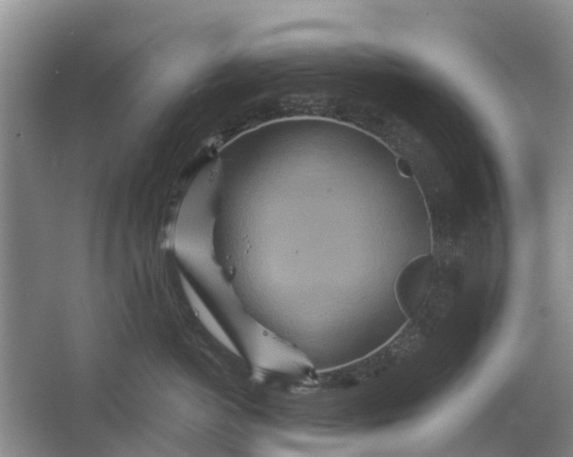 X0000064720766200602241639