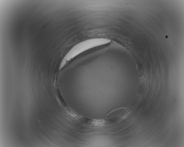 X0000064720767200602241639