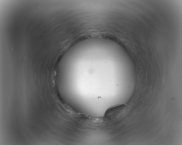 X0000064720768200602241639