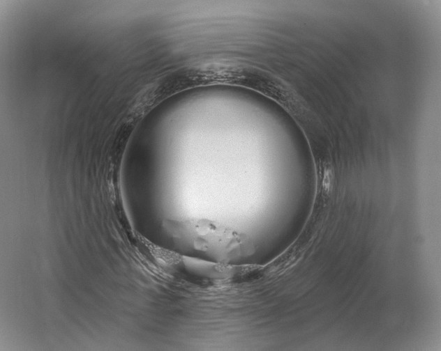 X0000064720771200602241638