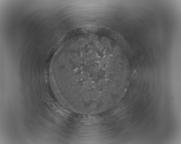 X0000064720772200602241638