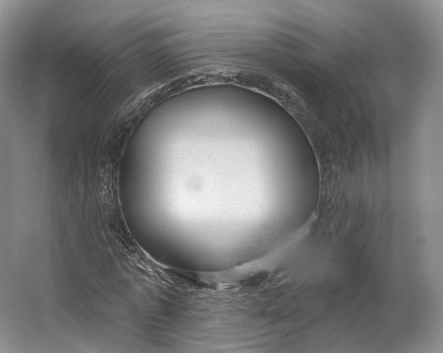 X0000064720773200602241638