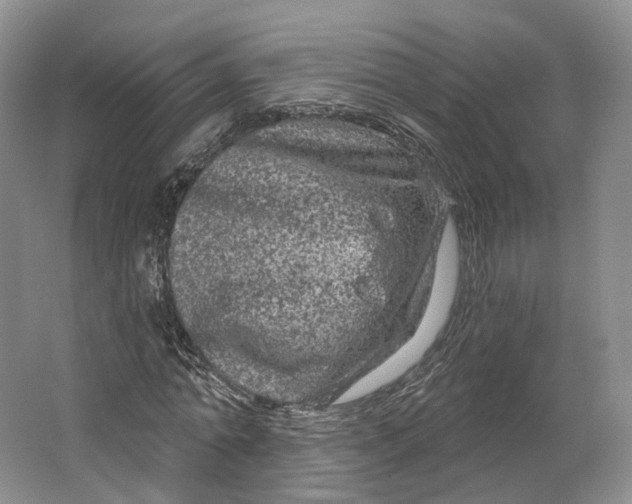 X0000064720774200602241638