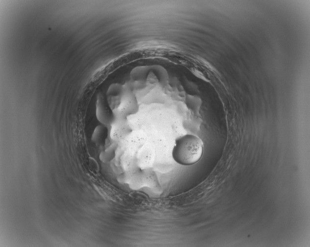 X0000064720775200602241638