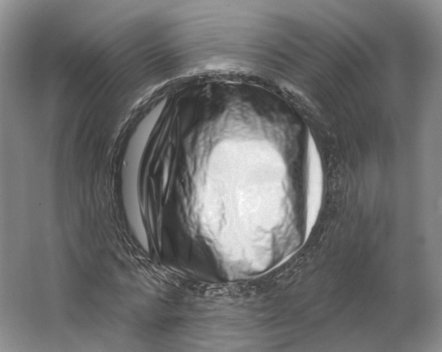 X0000064720776200602241638