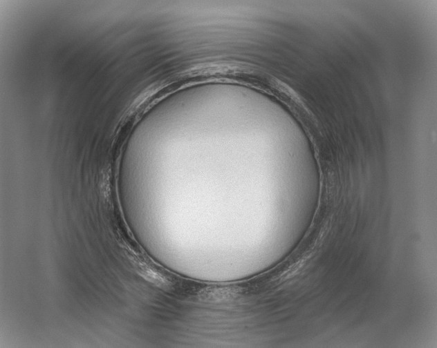 X0000064720778200602241638